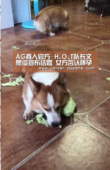 AG真人